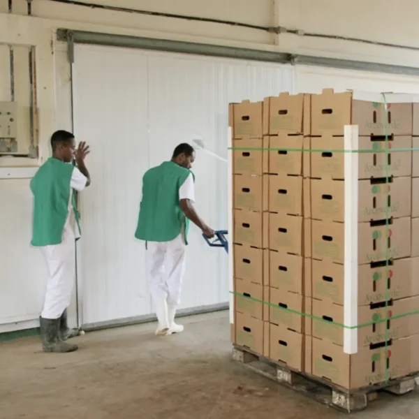 Captura de Tela 2024-06-20 às 09.09.20 (1) Captura de Tela 2024-06-20 às 09.09.20 (1)